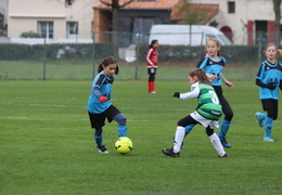 Saison 2019-2020