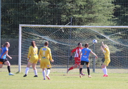 IMG 3786