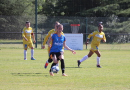 IMG 3791