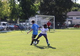 IMG 3887