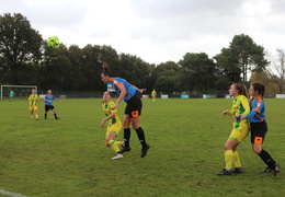 IMG 4211