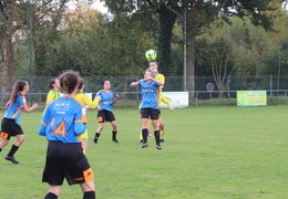 IMG 4212