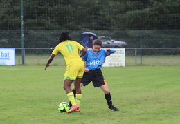 IMG 4224