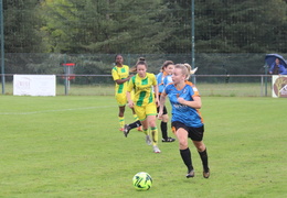 IMG 4230