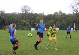 IMG 4222