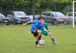 IMG 8245