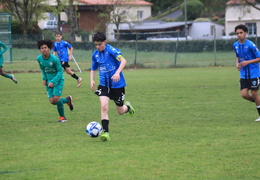IMG 8247